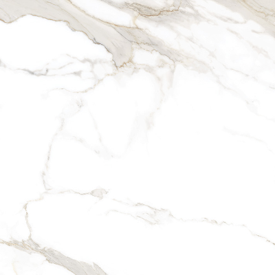 34669_PRALINE_120NT_01.webp