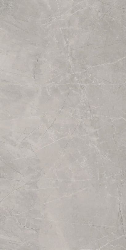 Bayona Silver Natrual 120x240.jpg