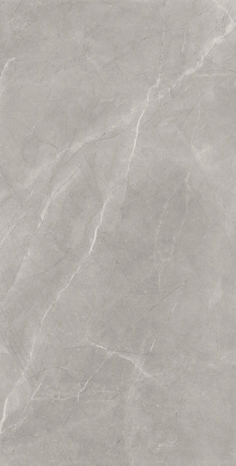 Bayona Silver Pulido 120x240.jpg