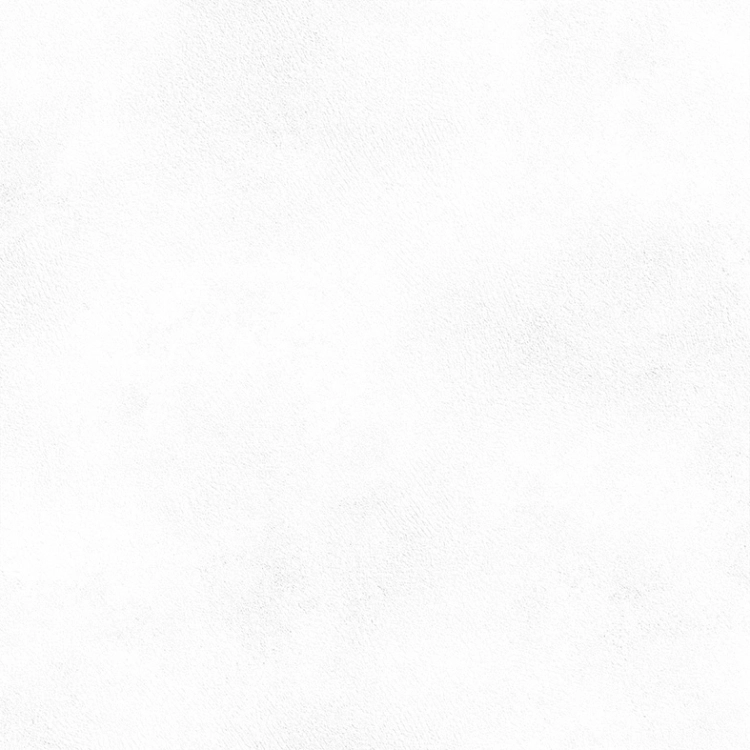 55221d15be8b93e5cea53f93394eb9b5