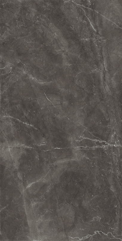 Bayona Grey Pulido 120x240.jpg