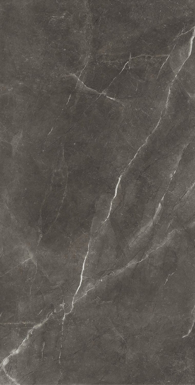 Bayona Grey Pulido 120x240 v2.jpg