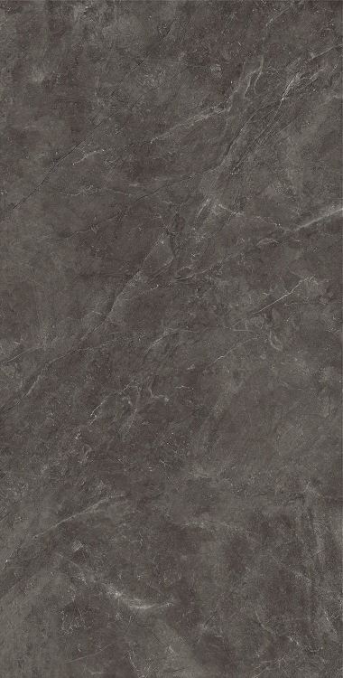 Bayona Grey Pulido 120x240 v3.jpg