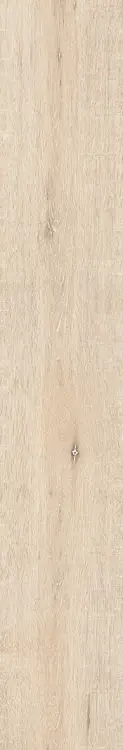 47d336ff5a5ca57e64e7fd1918b3b797