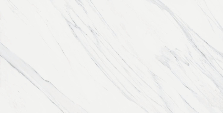 Vanglih Pulido 120x240 v3.jpg