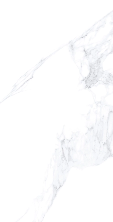 23211_CALACATTA-EXTRA-WHITE-100x180-NAT-R_08.webp