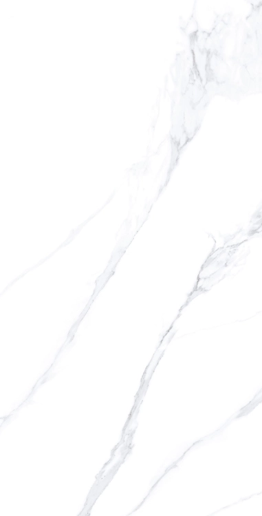 23211_CALACATTA-EXTRA-WHITE-100x180-NAT-R_09.webp