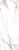 36872_BM_CALACATTA_EXTRA_WHITE_A_100X275_P.webp