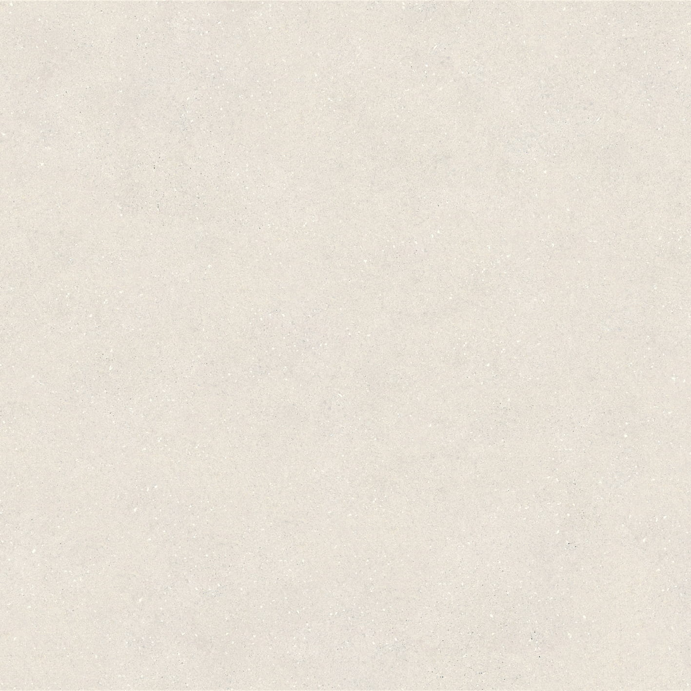 100348029_005.jpg
