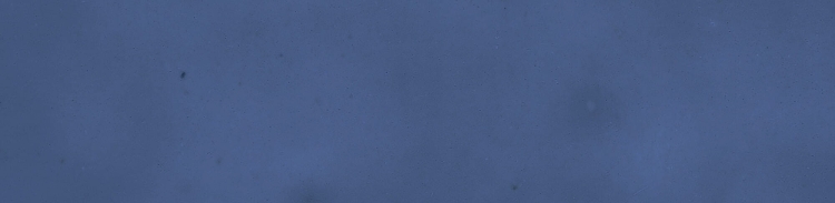 34817_AQUA_BLUE_32_SZ1.jpg