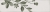 34823_AQUA_DECOR_GREEN_13_SZ1.jpg