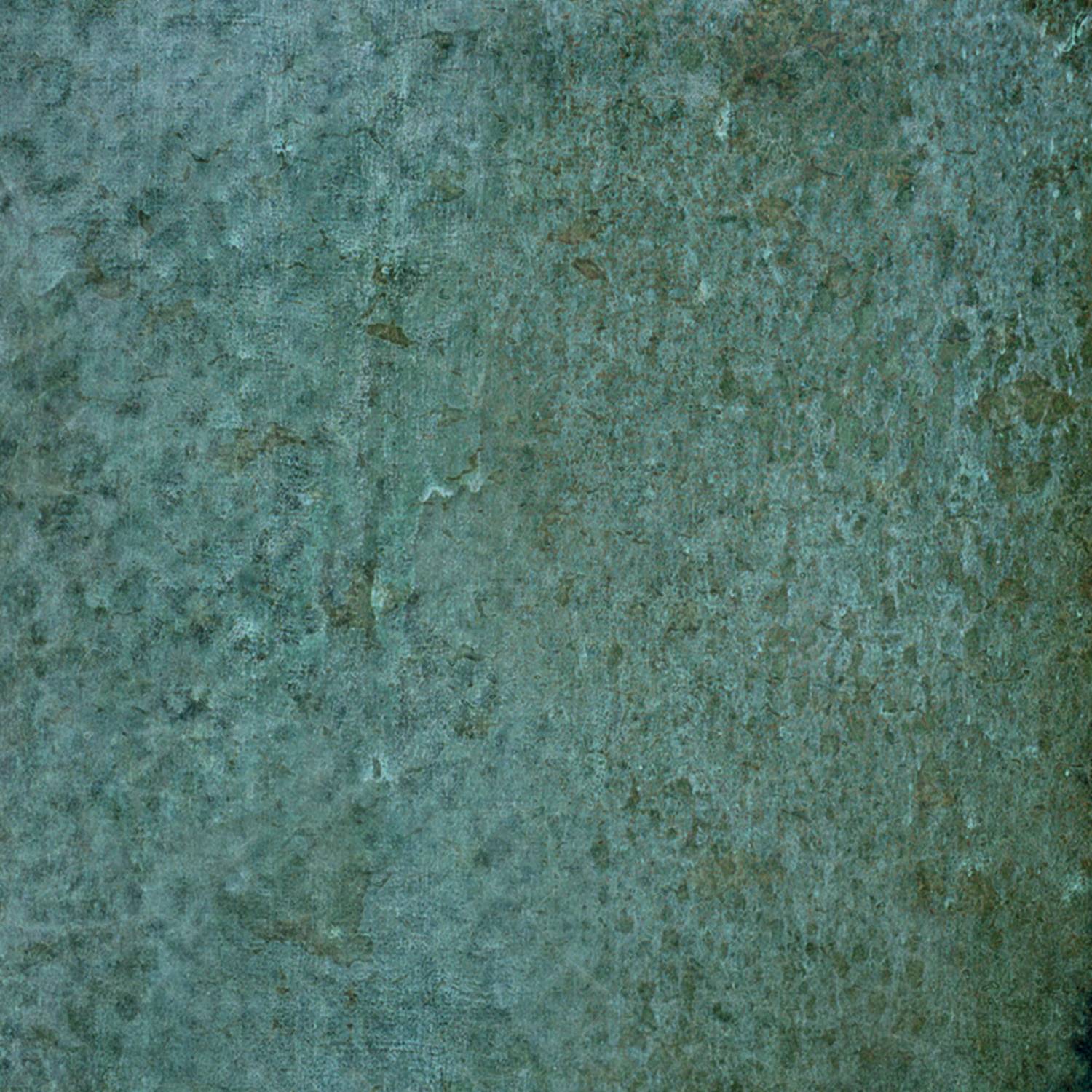 29005_DYROY-GREEN-10X10_02_SZ1.jpg