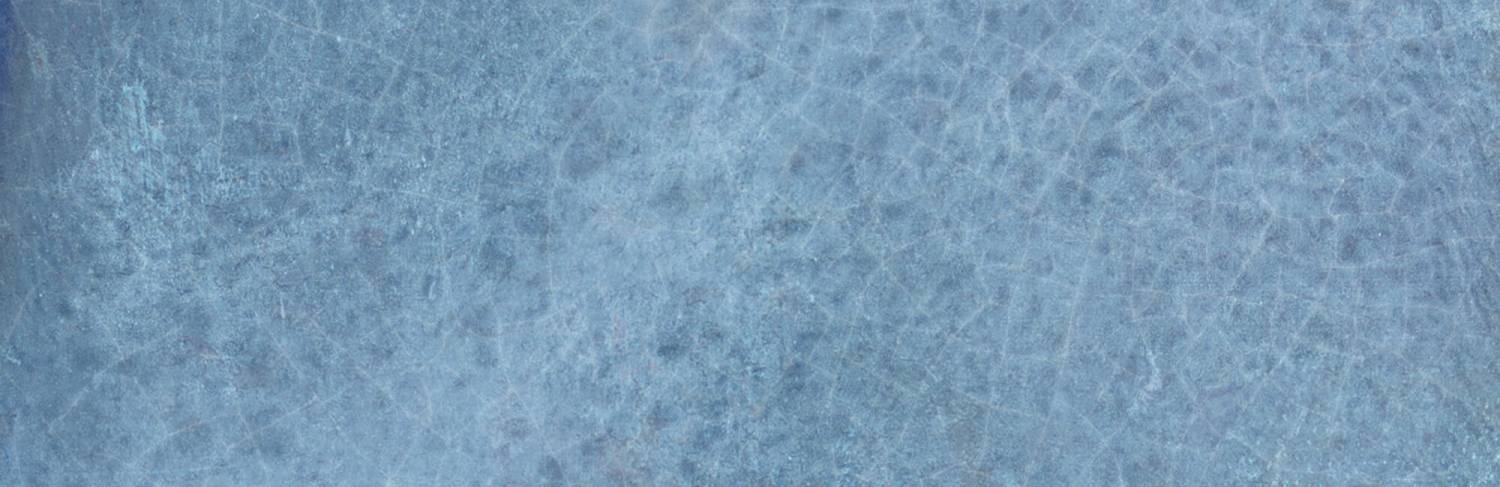 29018_DYROY-BLUE-6X20_39_SZ1.jpg