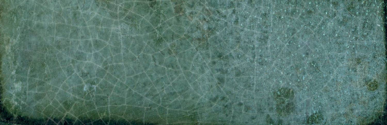 29013_DYROY-GREEN-6X20_33_SZ1.jpg