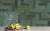 RIAD-GREEN-6x20_DET2_SZ1.jpg
