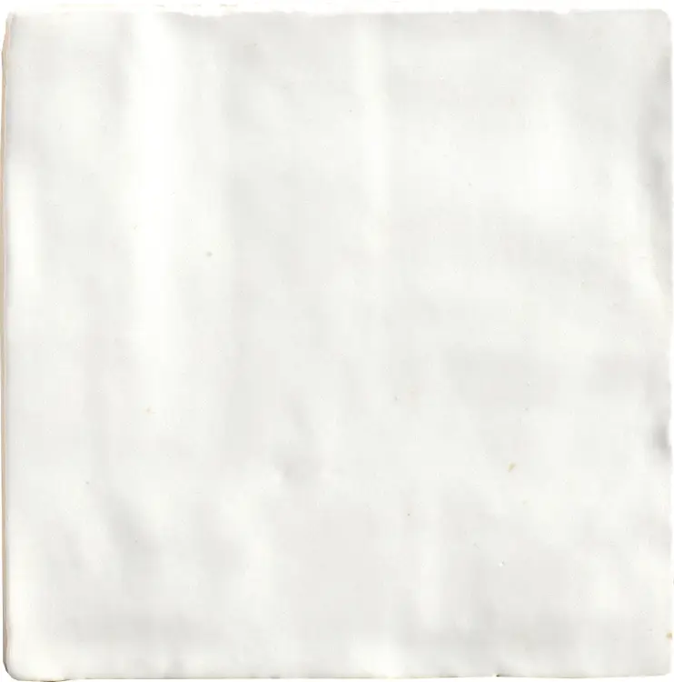 28902_SAHN-WHITE-10x10_SZ1.jpg