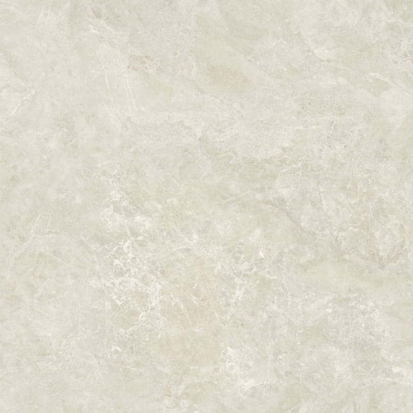 CANYON bone 120x120.jpg