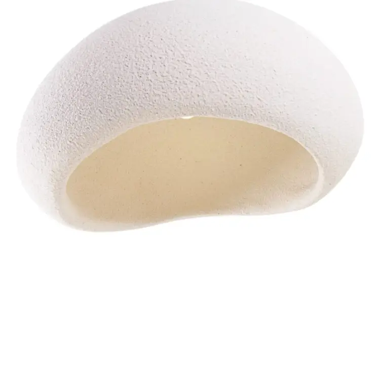 10251