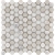 aura hexagon white.jpg