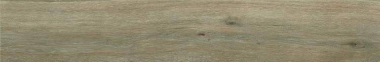 Stemar Baldocer Maryland Natural 20x120 Mat Płytka Ścienna Podłogowa Gres