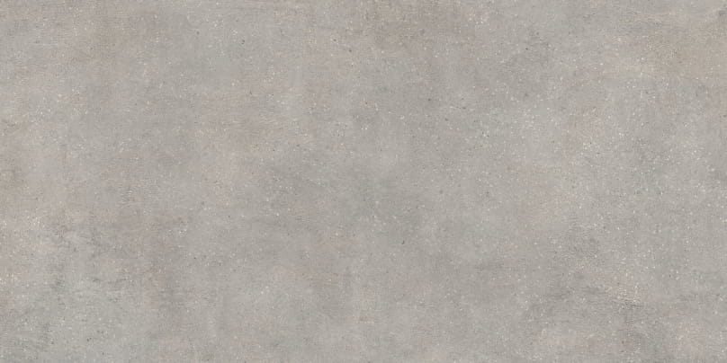 village soft cendre 60x120.jpg