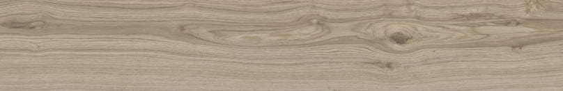 sequoya oak 26.jpg