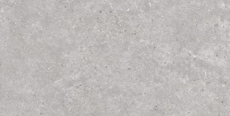 stoneland pearl 60x120.jpg