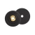 DPPH4A.webp