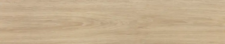 100354230.jpg