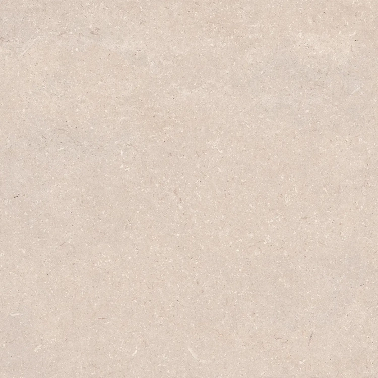 PORCELANOSA CORAL CALIZA L 80×80 cm – gres podłogowy w odcieniu jasnego beżu (caliza)