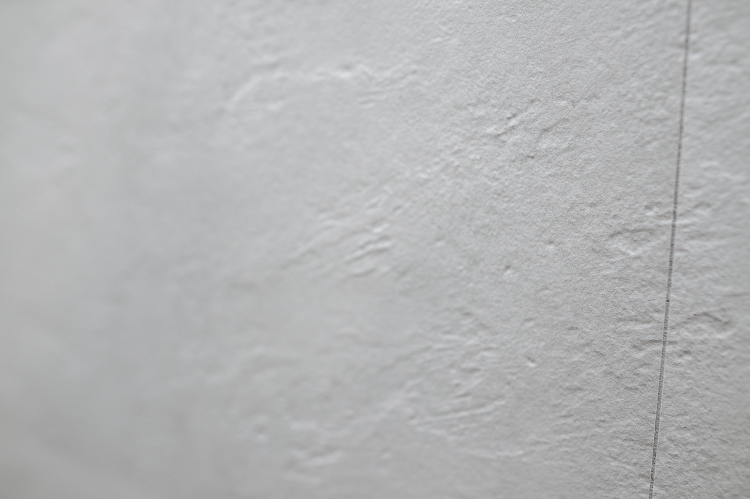 DSC03368.png