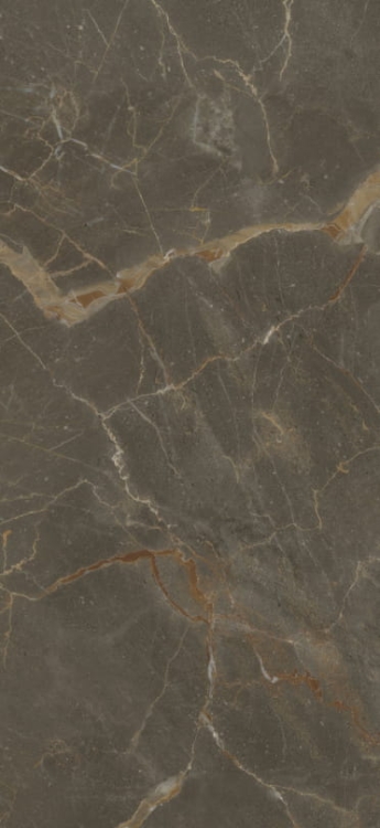 Baldocer Riscal Brown Pulido 120x260.jpg