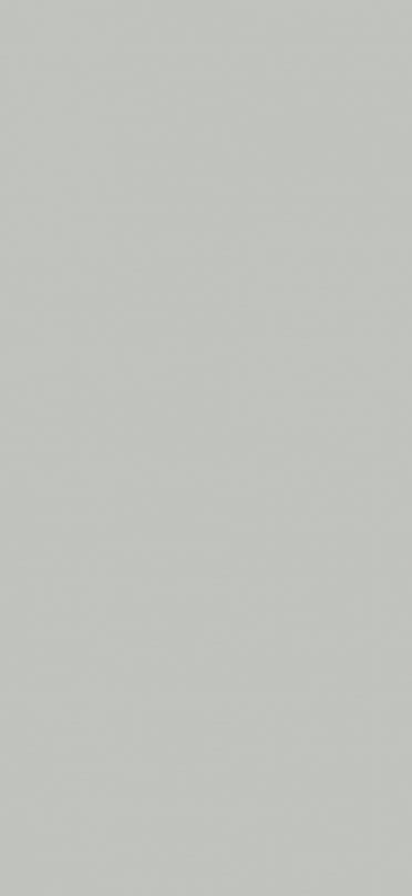 Baldocer Silver Natural 120x260.jpg
