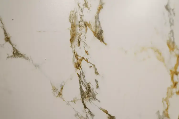 16630.