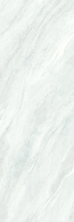 55731.