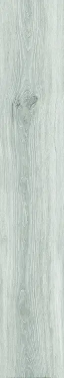 58732.