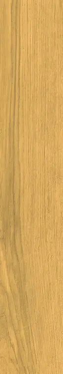 58844.