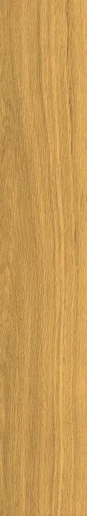 58848.