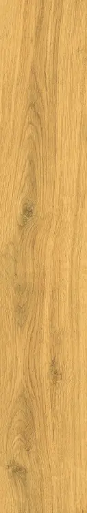 58851.