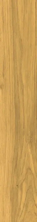 58876.