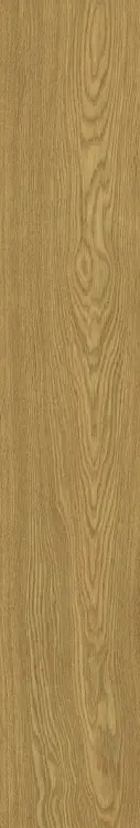58920.