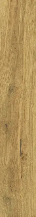 58921.