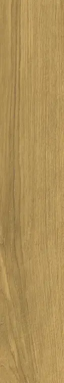 58922.