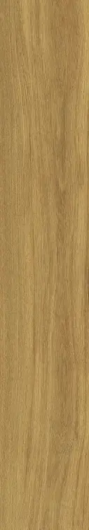 58923.