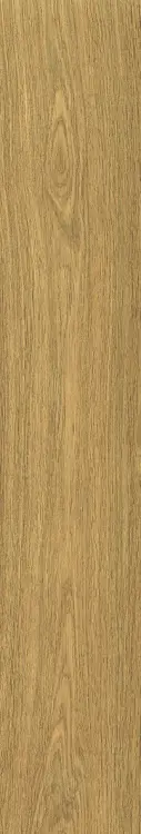 58924.