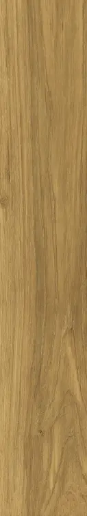 58946.
