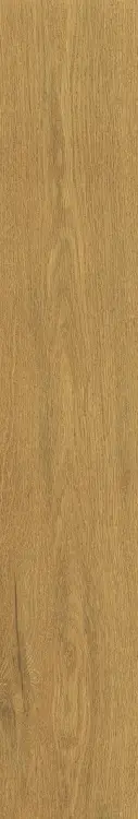 58951.