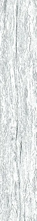 58953.