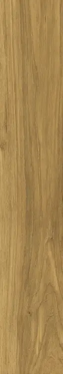 58954.