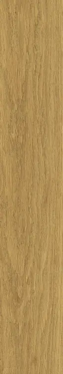58955.